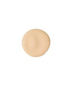 Accord Corrector Liquido 2N
