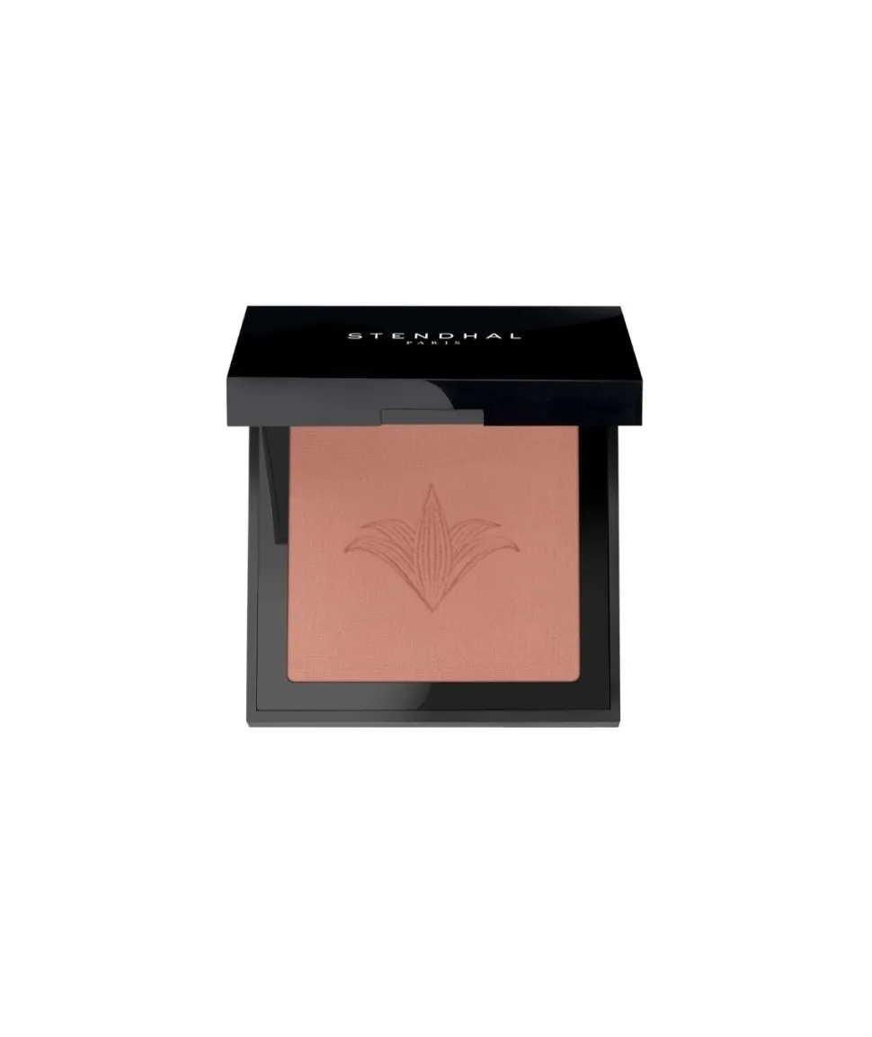 Colorete Fards A Joues Blush 302