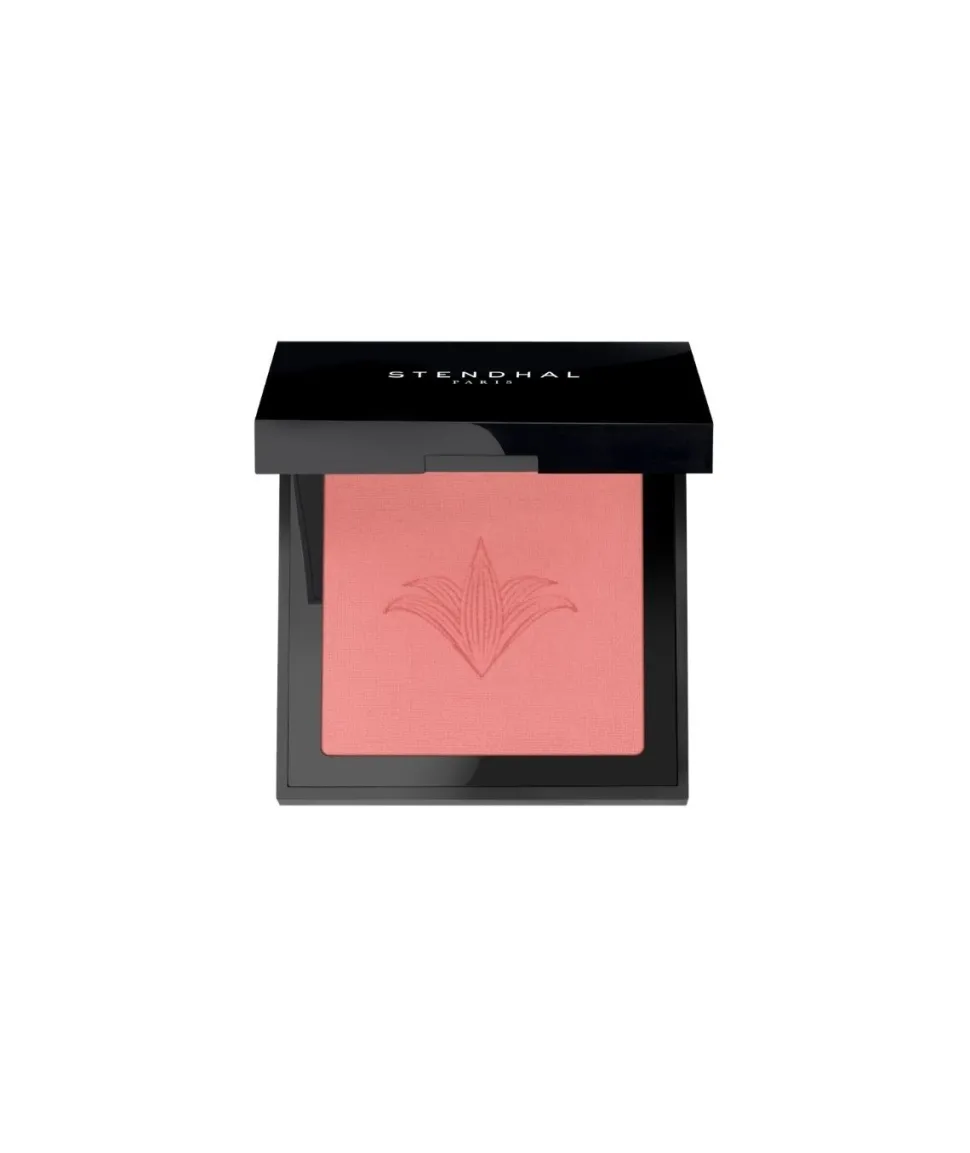 Colorete Fards A Joues Blush 301