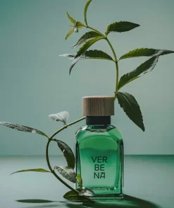 Verbena 120 Ml Colonia Hombre
