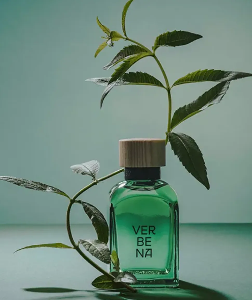 Verbena 120 Ml Colonia Hombre